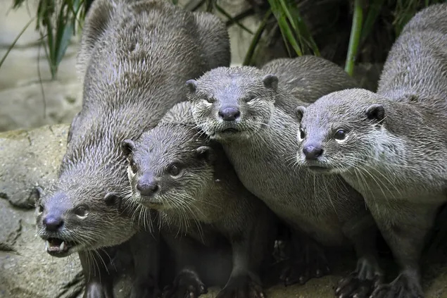 Gruppenfoto auf der Staffel