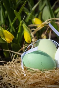 Die neue Osterkerze ist da!