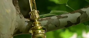 Willkommen zum ökumenischen Feldgottesdienst „Obere Weid“ (Farnsburg)