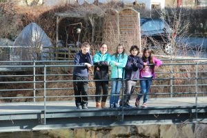 Kurs vom 15. Februar